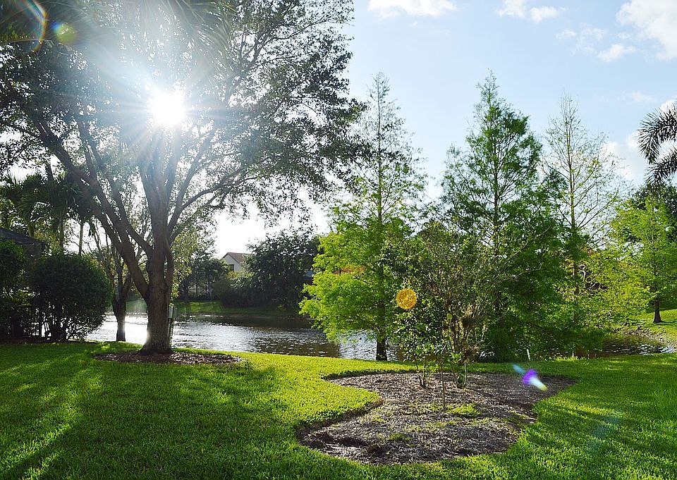 Backyard view 