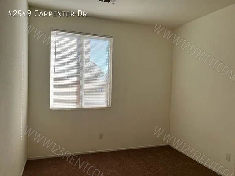 42949 Carpenter Dr — Photo 18