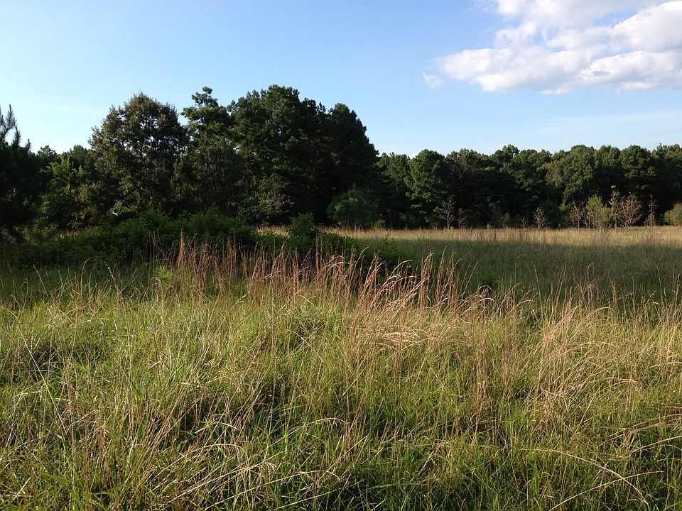 Quiet country living