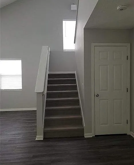 Large storage area under stairs