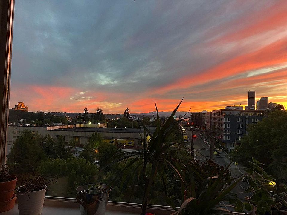 Living room view