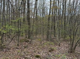 10513 Hilltop Rd, Erwin, NY 14830