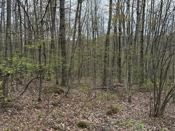 10513 Hilltop Rd, Erwin, NY 14830