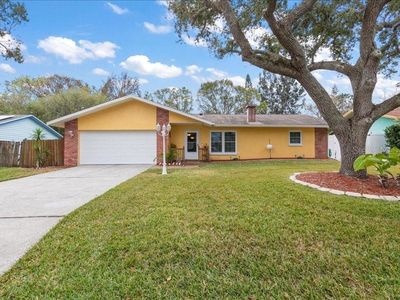 2237 Spanish Vistas Dr, Dunedin, FL, 34698