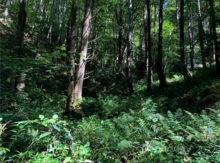 0 Grassy Gap Rd, Green Mountain, NC 28740