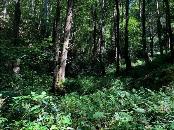 0 Grassy Gap Rd, Green Mountain, NC 28740