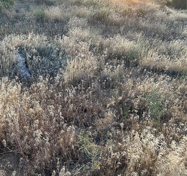 1st image of 0 Verbena Rd