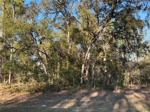 8047 N Vince Dr, Citrus Springs, FL 34434