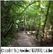 2nd image of Tbd Galloway Garden Rd