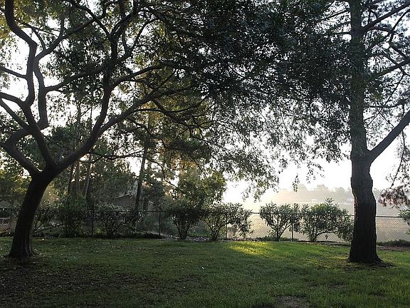 5th image of 4220 Camino Ticino