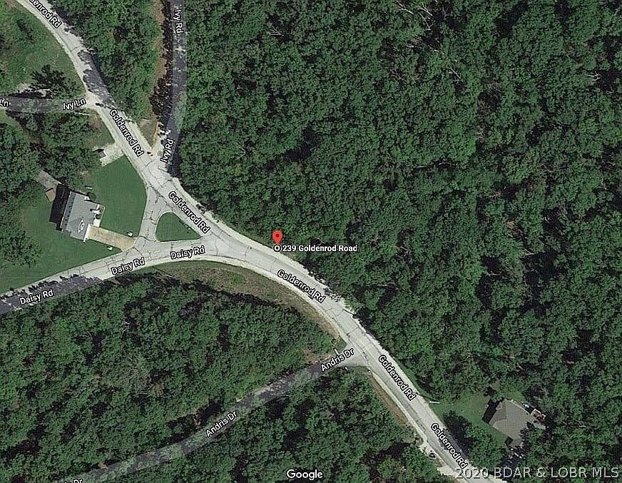 2nd image of Goldenrod Rd