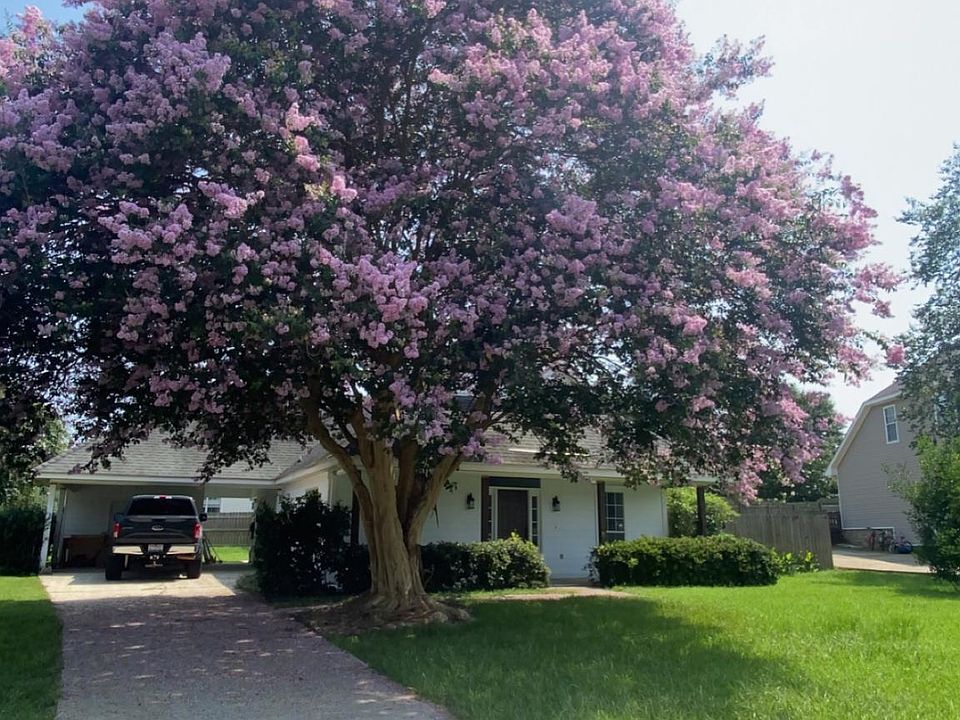1st image of 10458 Steel Creek Ct