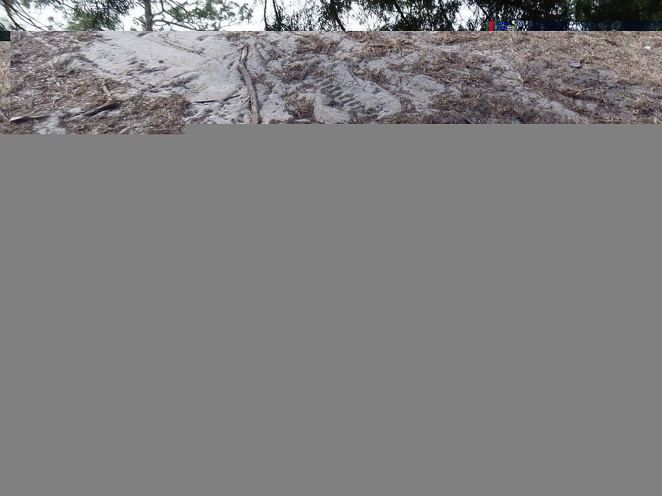 1st image of 31642 Hillside Dr