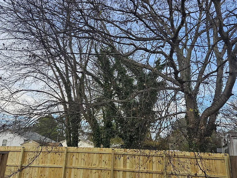 606 Mason Ave — Photo 8