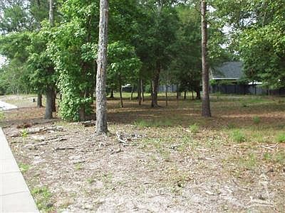 3rd image of Devaun Park Boulevard LOT 124