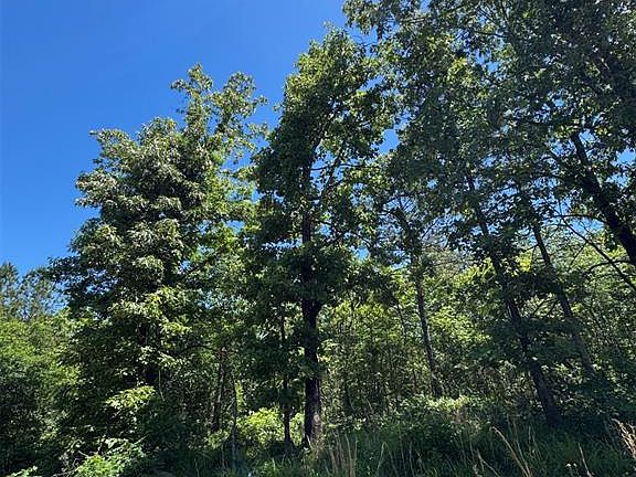 5th image of 50 Vista Ridge Trail