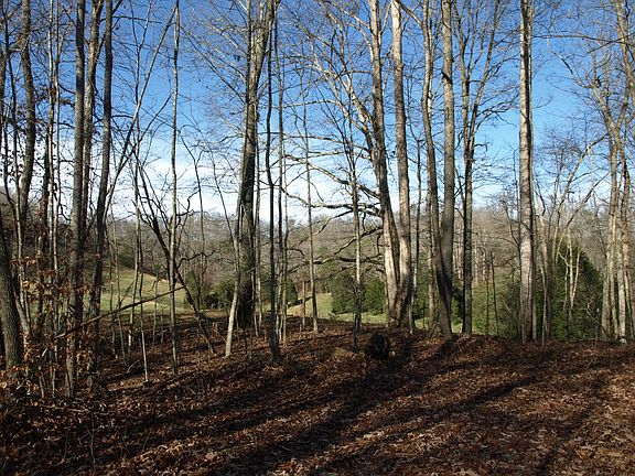 4th image of 0 Big Creek Rd
