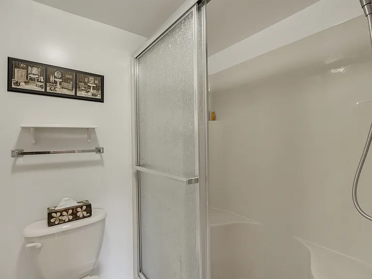 Primary walk-in shower