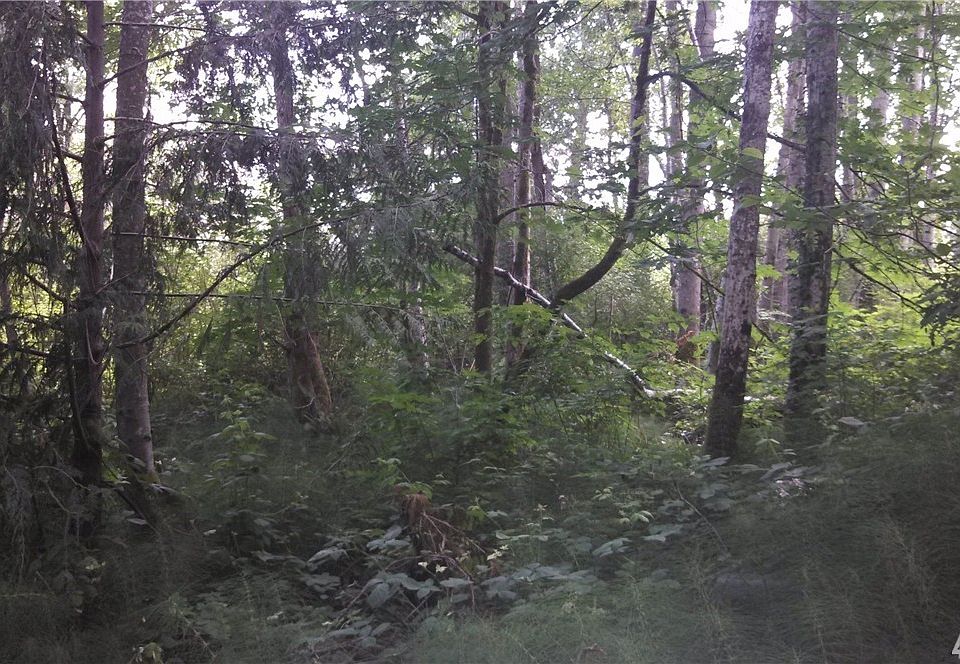 2nd image of 4010 87th Ave NW