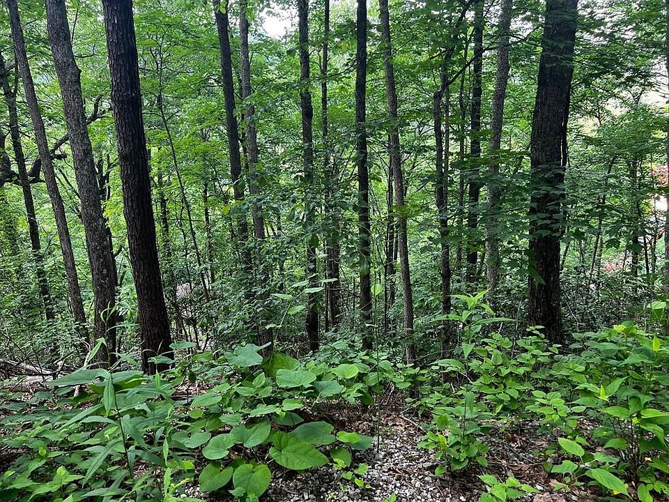 1st image of 0 Baden Lot B 26