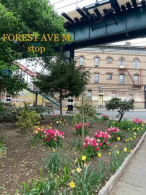 Rented by Brooklyn Real Estate Services | media 23