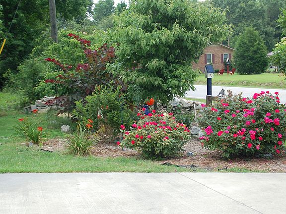 corner of 0.33 acre lot