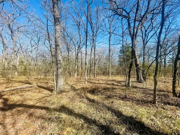 County Road 1216, Cumby, TX 75433