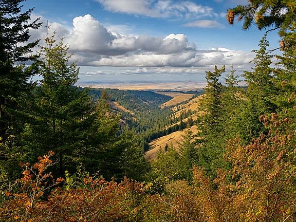 5th image of 30 Acres off Biscuit Ridge