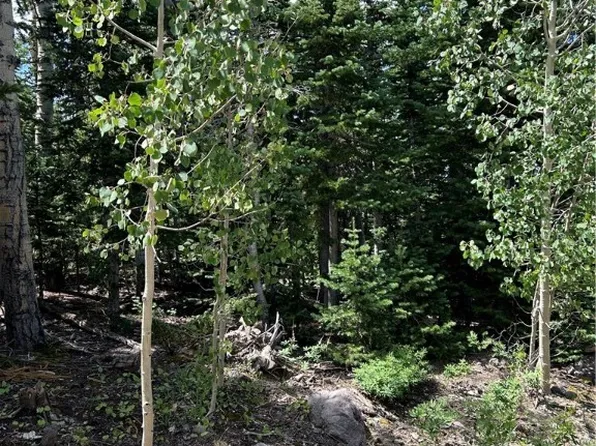 533 E 275 N, Brian Head, UT 84719