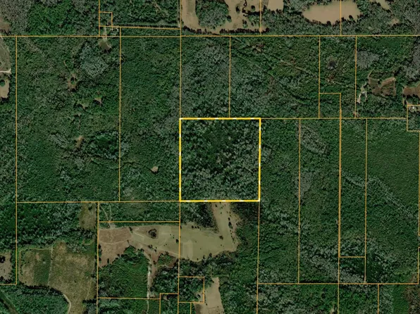 Vacant Sw Worthington Trl, Greenville, FL 32331