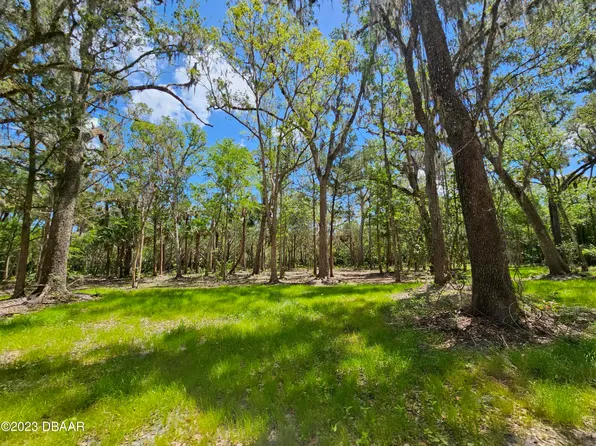 725 Trophy Hunter Trl, New Smyrna Beach, FL 32168