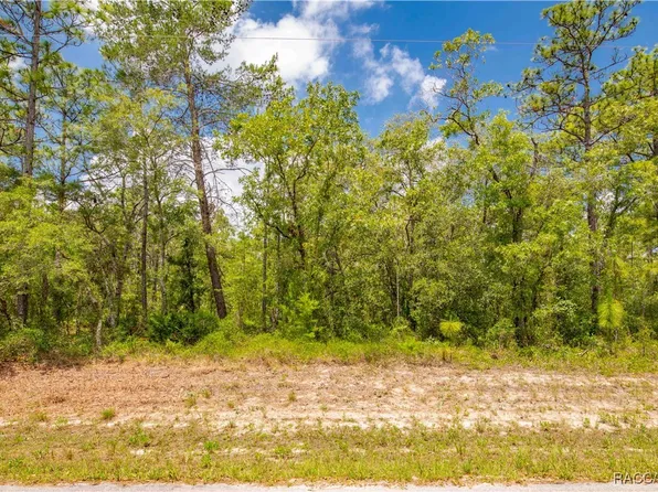 0 Mount Sparrow Rd, Brooksville, FL 34614