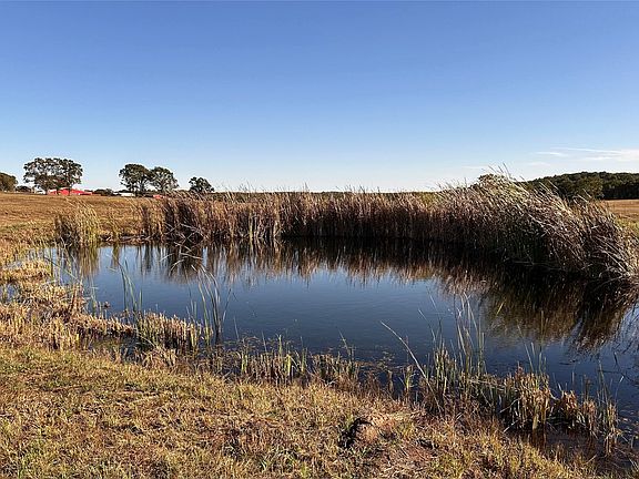 5th image of 164 County Road 2280