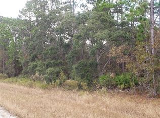 15406 Magnolia Warbler Rd, Weeki Wachee, FL 34614