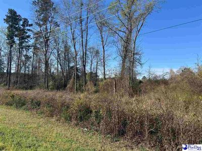 Tbd S Highway 38, Bennettsville, SC, 29512