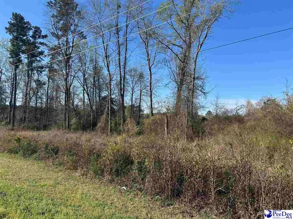 Tbd S Highway 38, Bennettsville, SC 29512