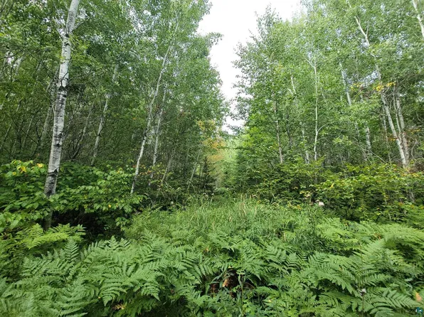 80X Sled Dog Trl, Hovland, MN 55606