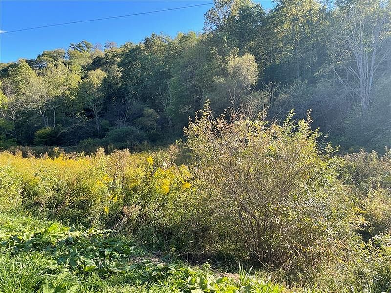 237 Tantlinger Hollow Dr, Bolivar, PA 15923 MLS 1588132 Zillow