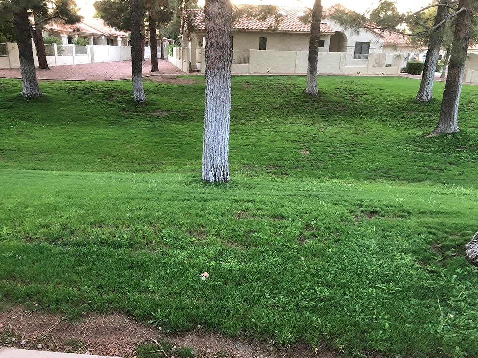 1st image of 1003 E Chilton Dr