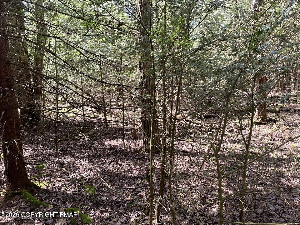 1st image of Waverly St #24