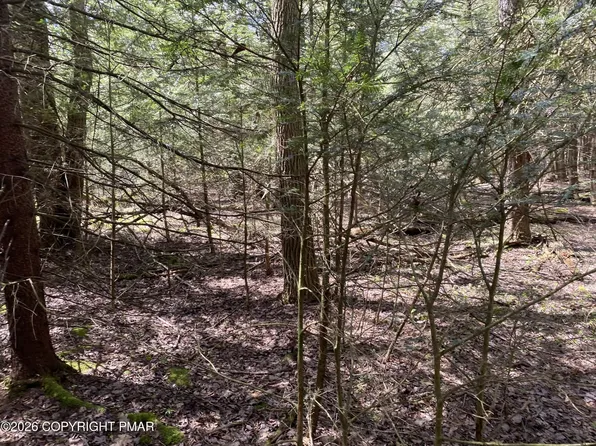 Waverly St #24, Pocono Summit, PA 18346
