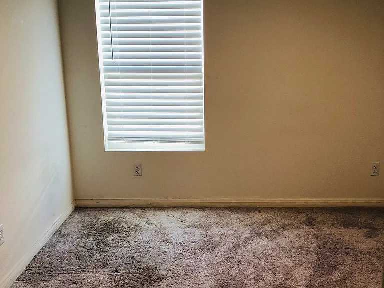 32273 Wild West Ct — Photo 9