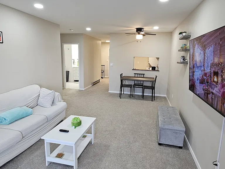 50 Euclid Ave #3B — Photo 17