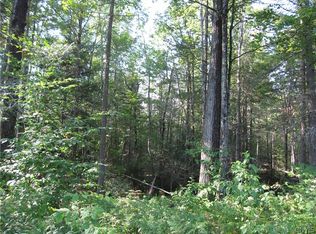 1 Hawes Rd, Stratford, NY 13470