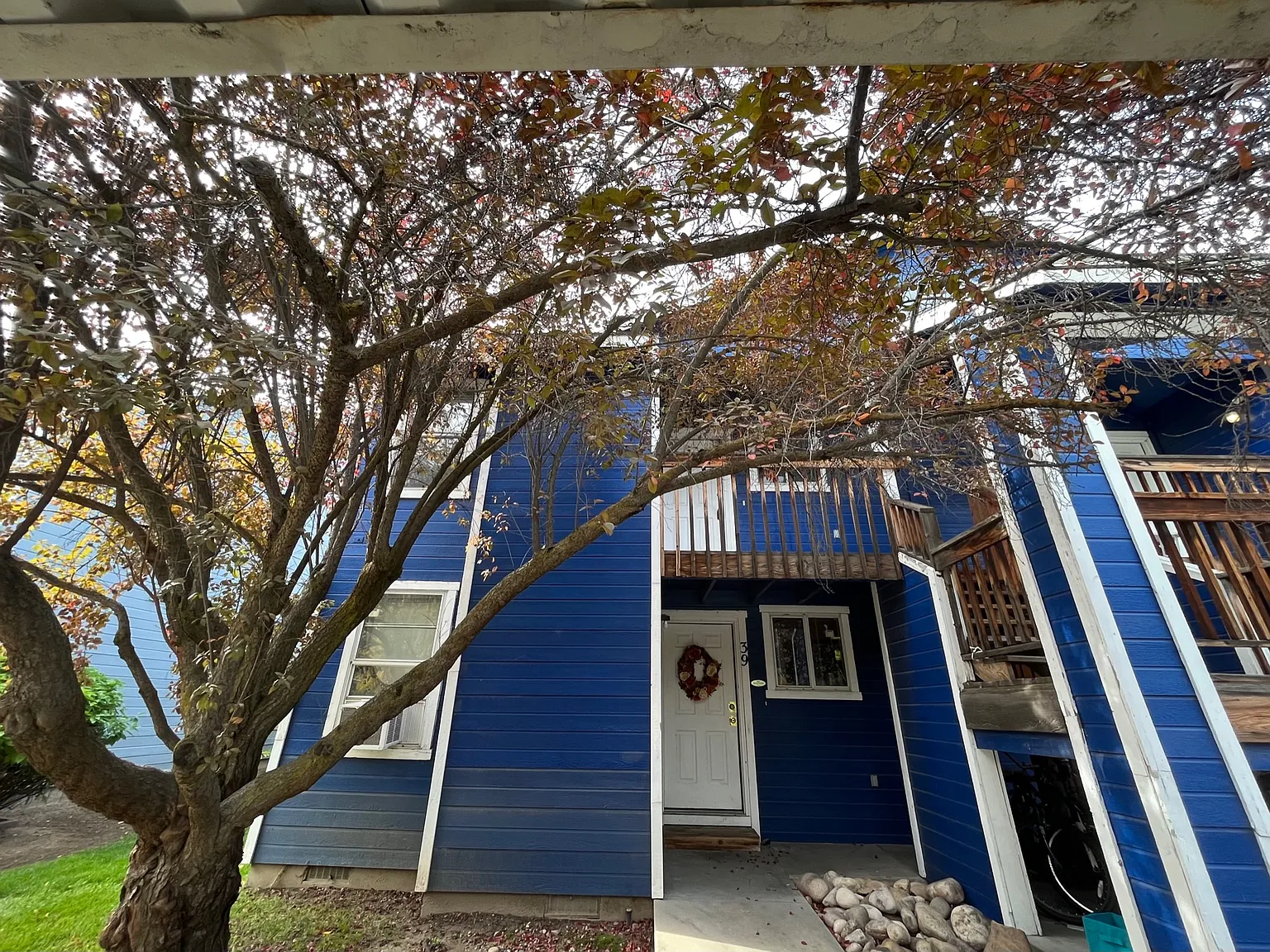 Mike - 37 — Photo 2