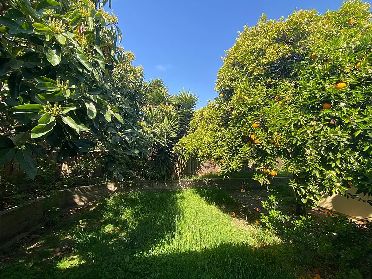 26131 Coleman Ave — Photo 13