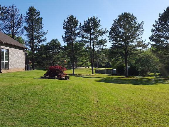 Backyard (2.5 Acres)