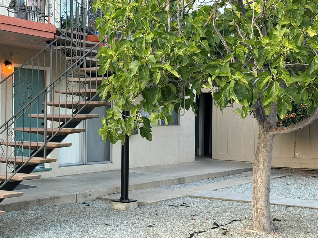Building Photo - 5384 Dellwood Way