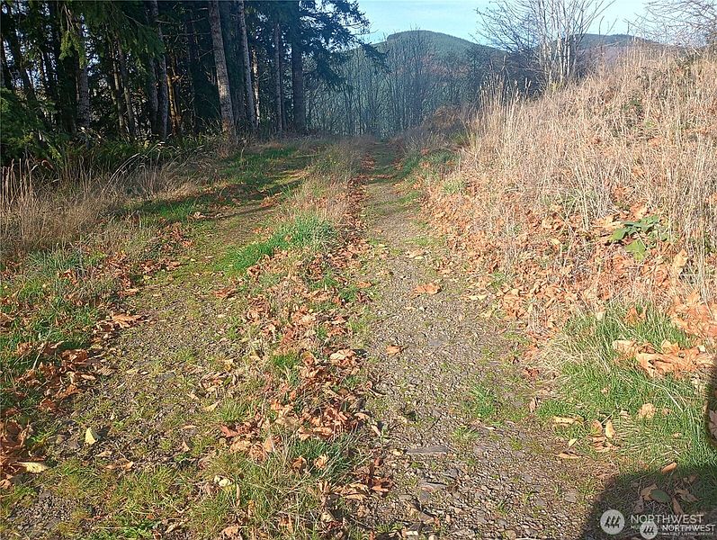5th image of 167 Wagner Road