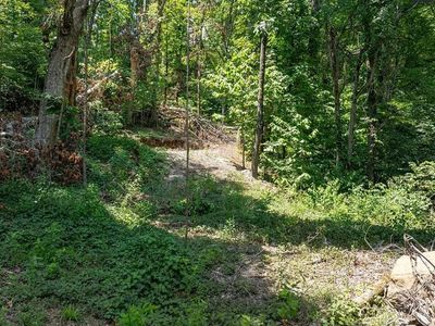 N Highway 71, Mountainburg, AR, 72946